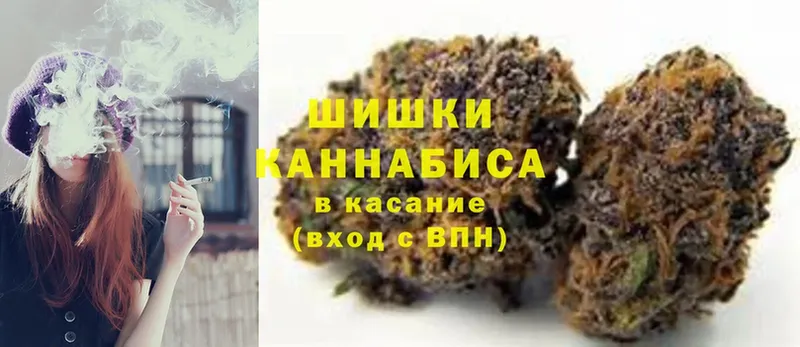 купить наркотик  Кингисепп  Марихуана конопля 